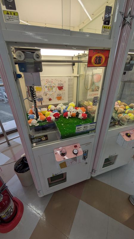 Practice makes perfect: honing crane game skills photo