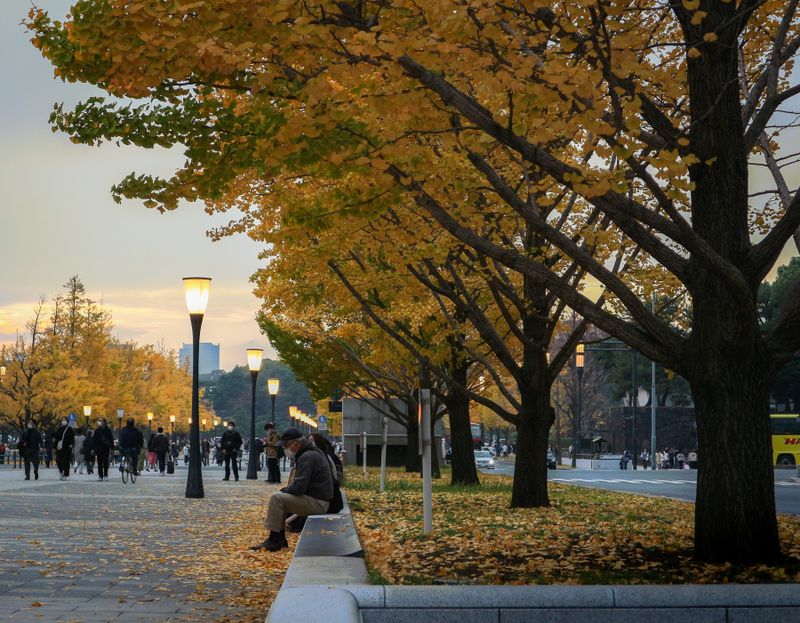 Images of Japan: November 2022 photo