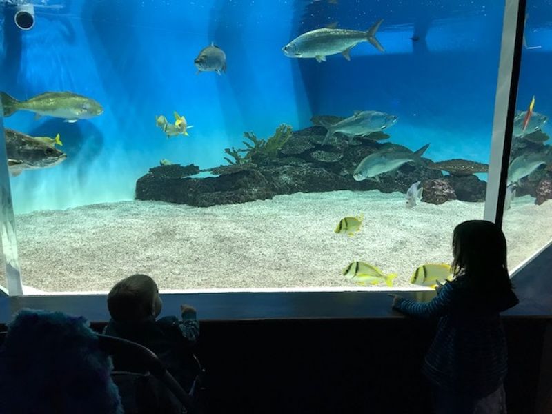 Why Niigata's MarinePia Aquarium is great for Families photo