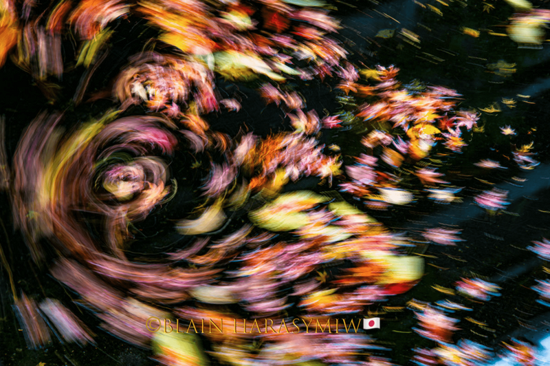 Hokkaido Japan - Photographing Autumn Abstracts photo