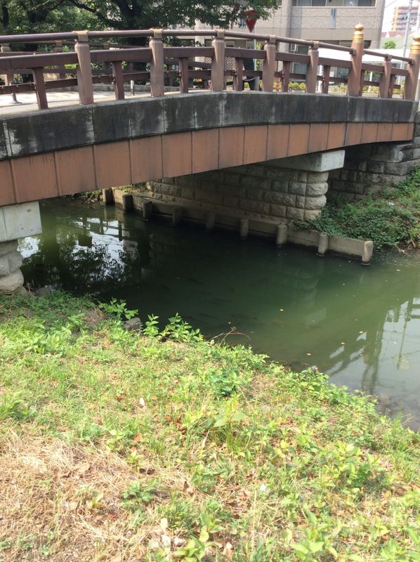 Whose stealing bridge nameplates? And why? photo