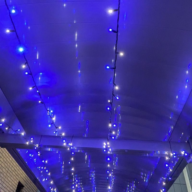 Events on World Diabetes Day  photo