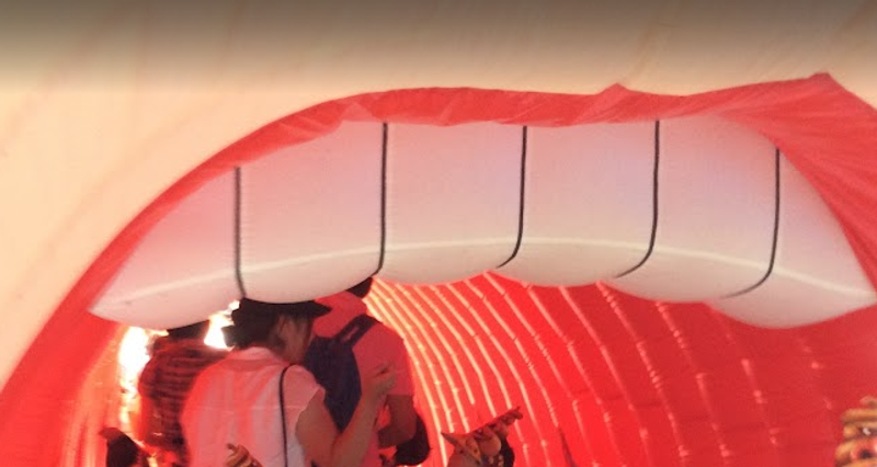 A day for good teeth! photo