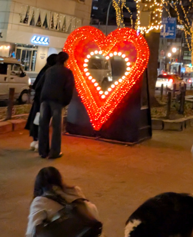 Sendai's Pageant of Starlight 2025: Lights and Ice photo