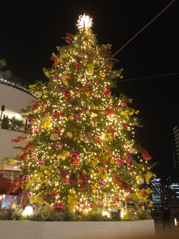 Yokohama Bay Quarter's "Christmas Forest" photo