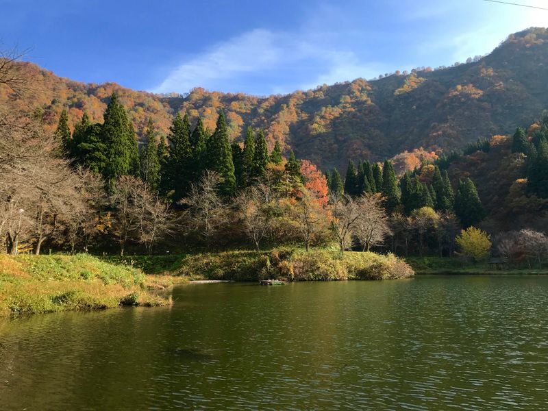 Hakkaisan Shrine grounds in autumn  photo