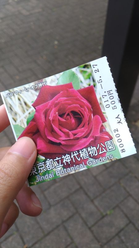 Spring Rose Festival in Chofu photo