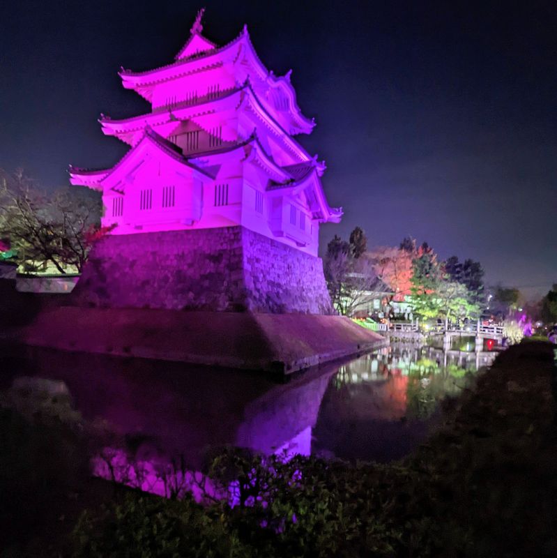 Castle lit up in pink  photo