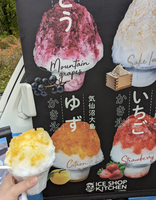 Food Truck Shaved Ice: Too Much Ice, Not Enough Flavors photo