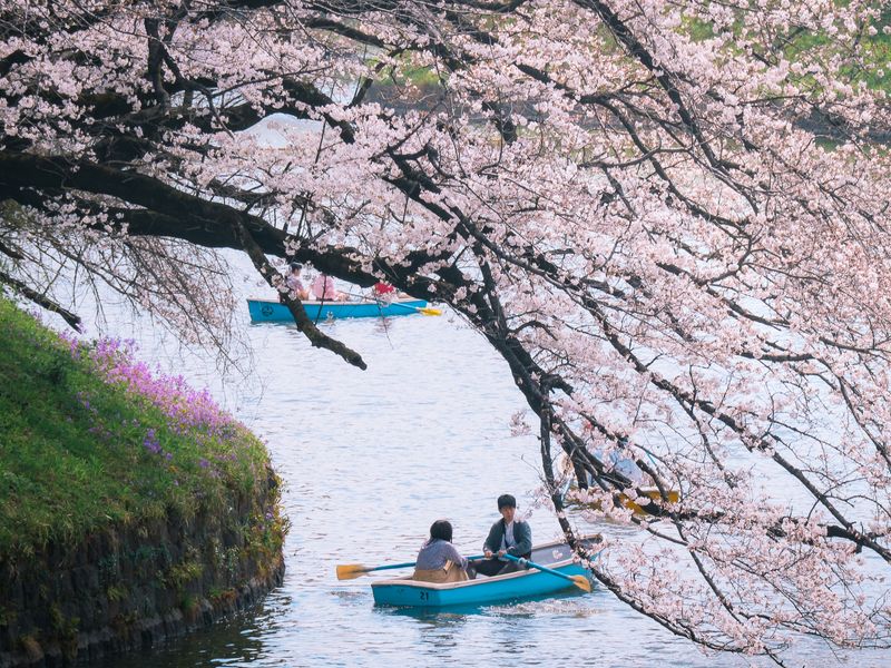 Images of Japan: March 2023 photo