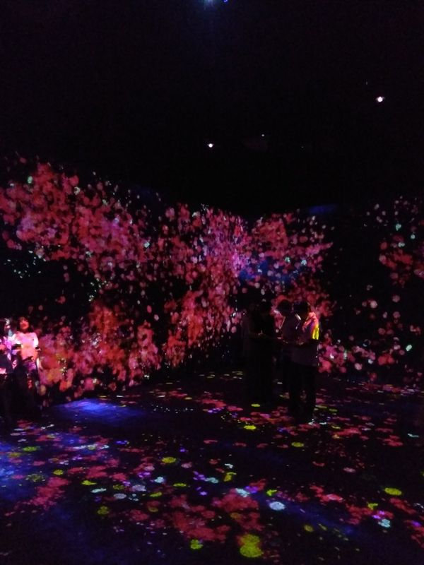 A Few Hours in TeamLAB Borderless (Odaiba) photo