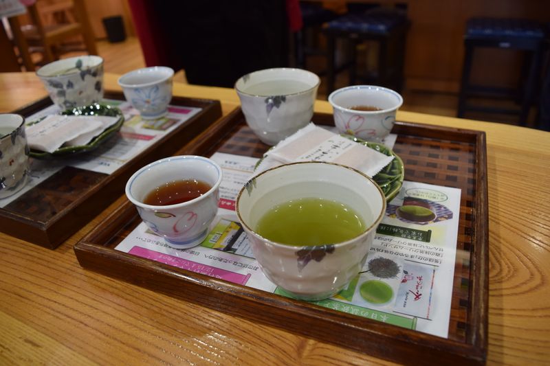 外国人がお茶を飲む photo