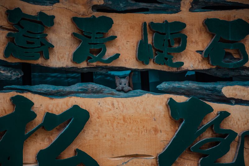 Sounds of Inami woodcarving still echo around Yokamachi-dori, Toyama Pref. photo