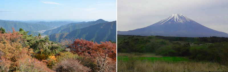 日本旅游最佳 - 自然界所提供的一切都近在咫尺！ photo