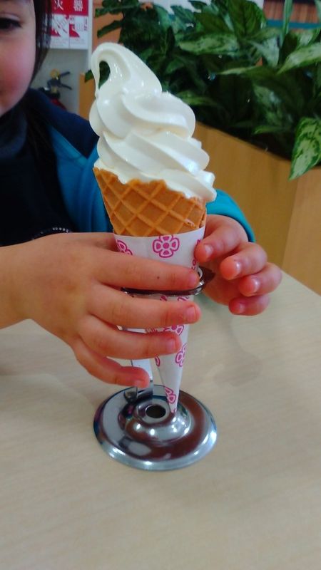 The Ice-Cream Scoop! photo