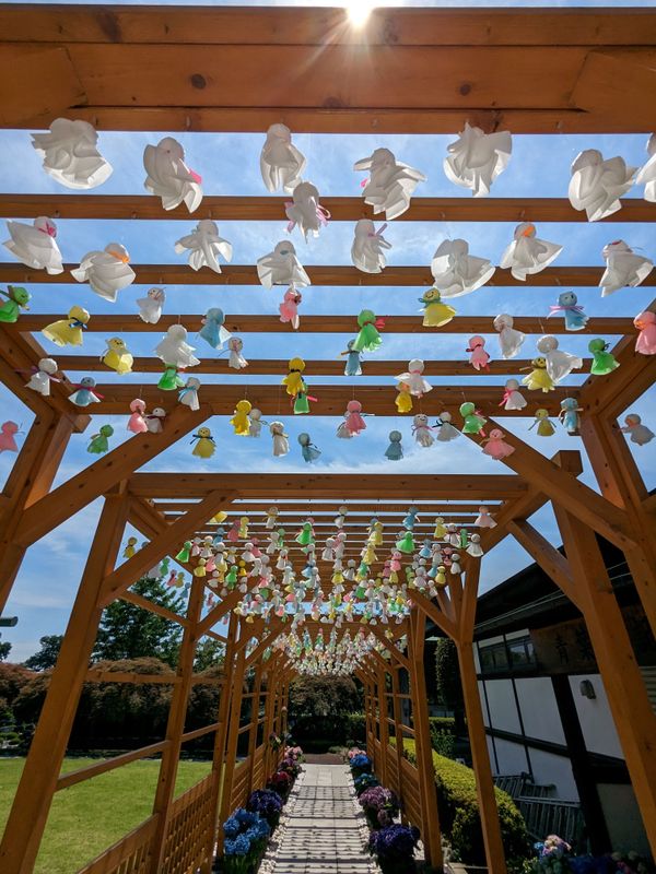 Rainy season ideas: ④ "Teru Teru Bozu" photo