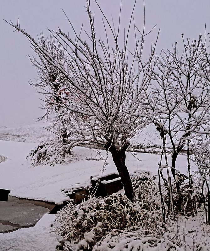 Snowtime in Minamiuonuma photo