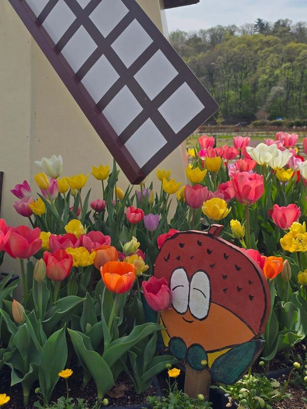 Summer vibes already photo