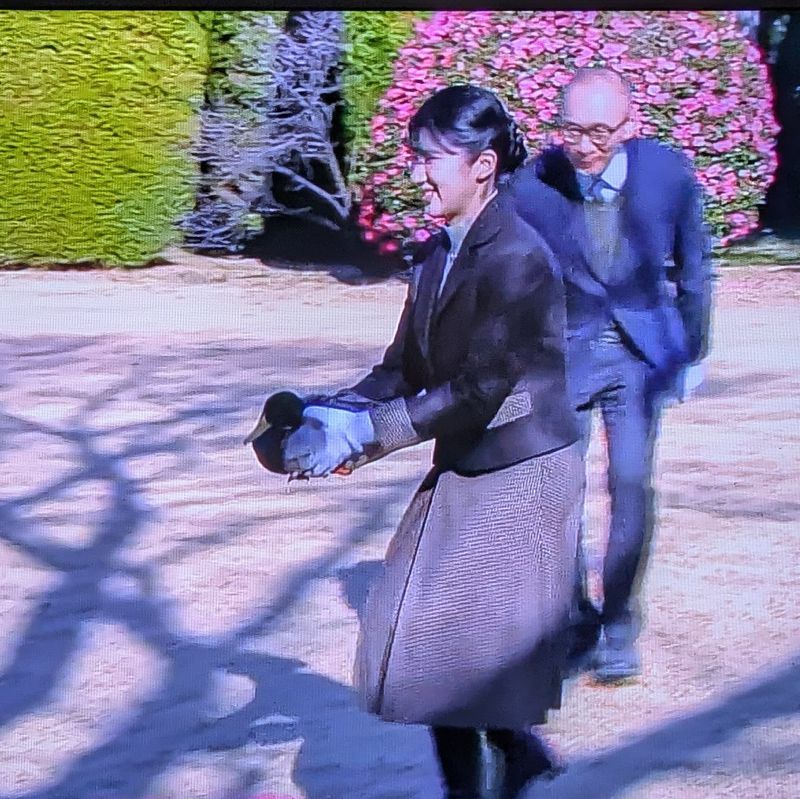 News of the year 2025; Princess Aiko and the duck! photo