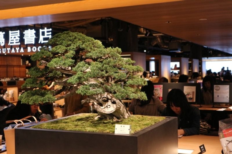 A look inside Ginza Six: Opening day photo