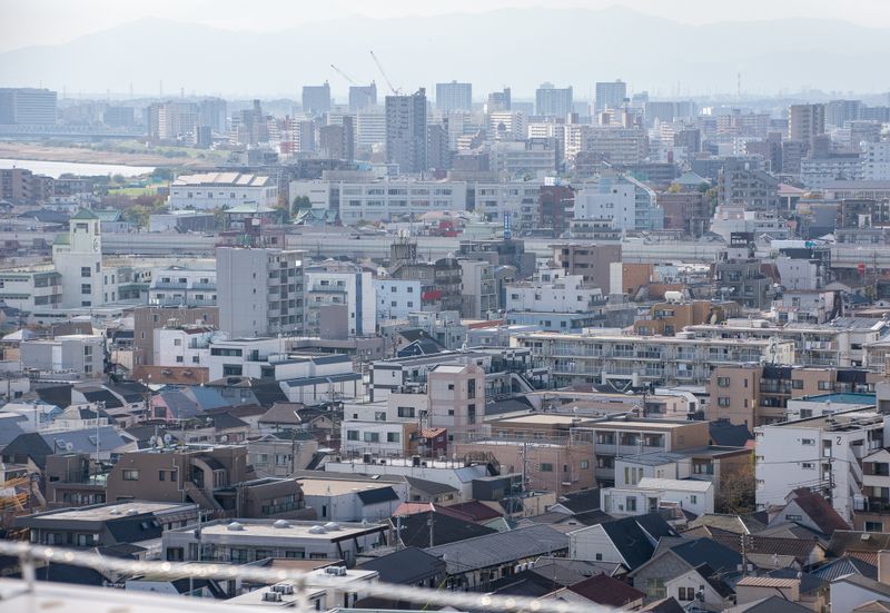 The problem with 2024 is, house moving refugees? photo