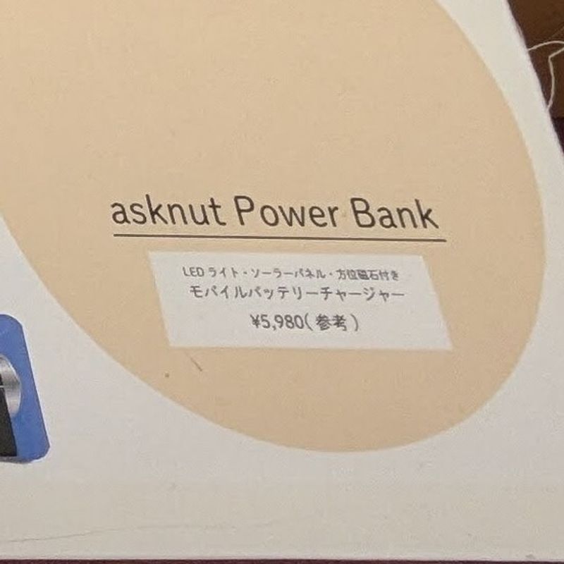 An essential item in an emergency kit; a large capacity power bank photo