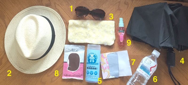 The Gaijin Summer Survival Kit photo