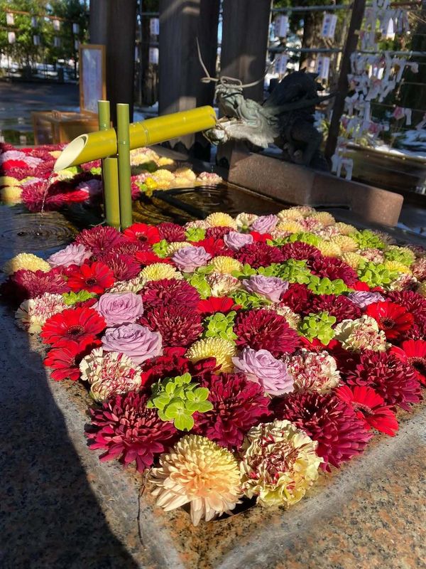 Reasons why Christmas in Japan beats Australia: It's easier if you're transient photo