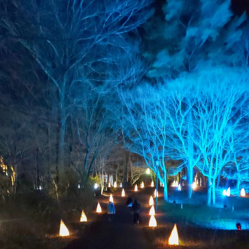 The winter solstice photo