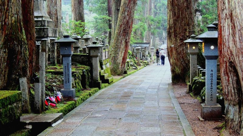 Top destination Japan: How Japan features on best-in-travel lists in 2019 photo