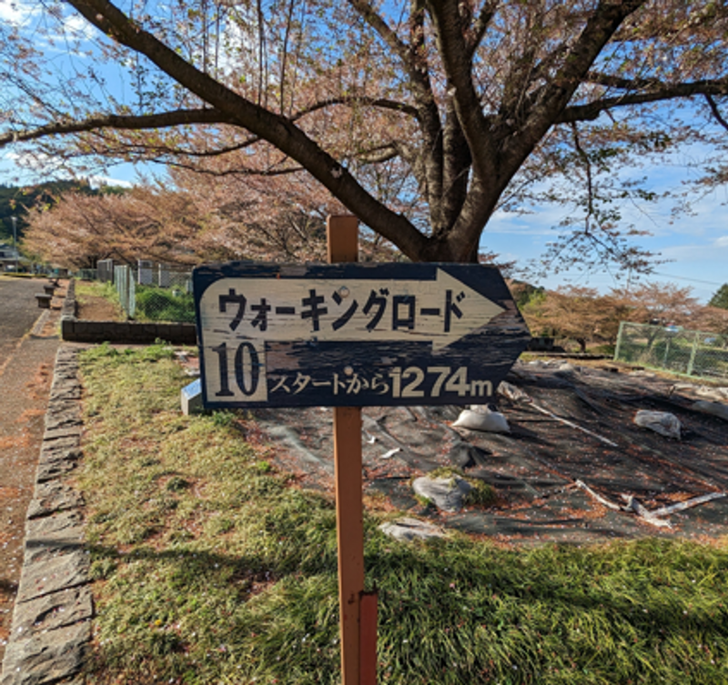 Are you ready for a fresh start? photo