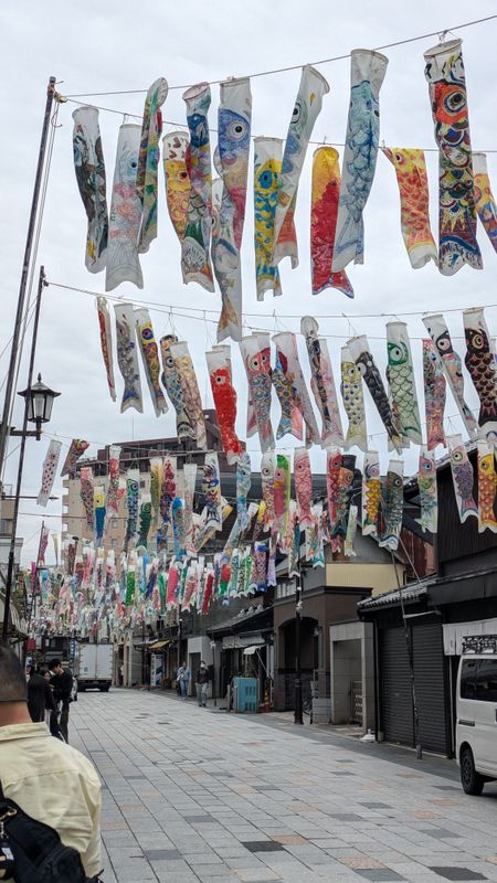 This year's Kawagoe Koinobori Display photo