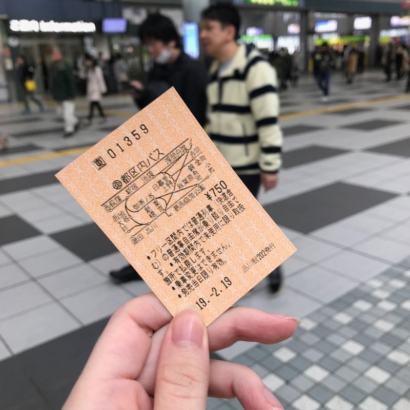 How to travel one day on Tokyo JR East trains for only 750 yen photo