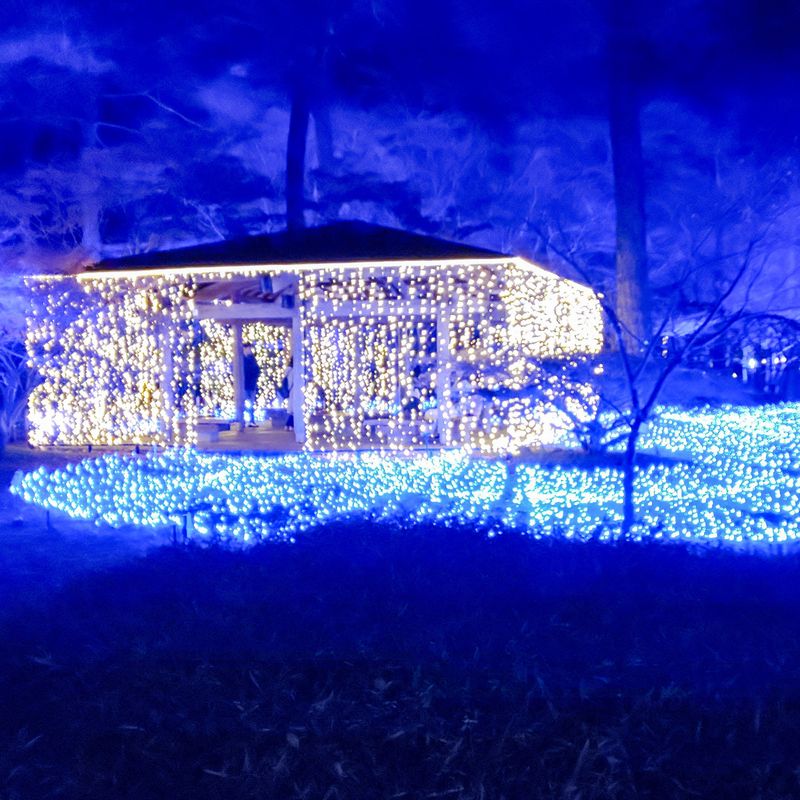 Limited "Starlight" illumination photo