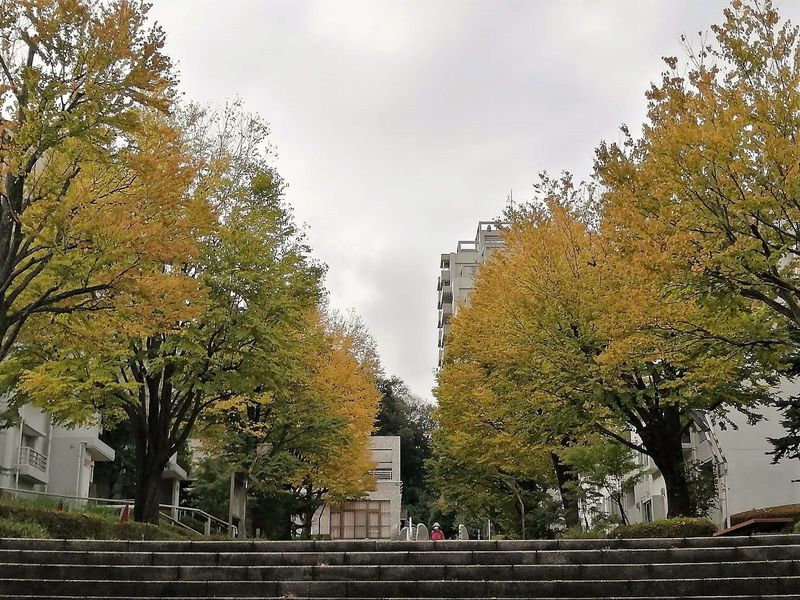 Explore Inagi City in Autumn! [SPOT REPORT] photo