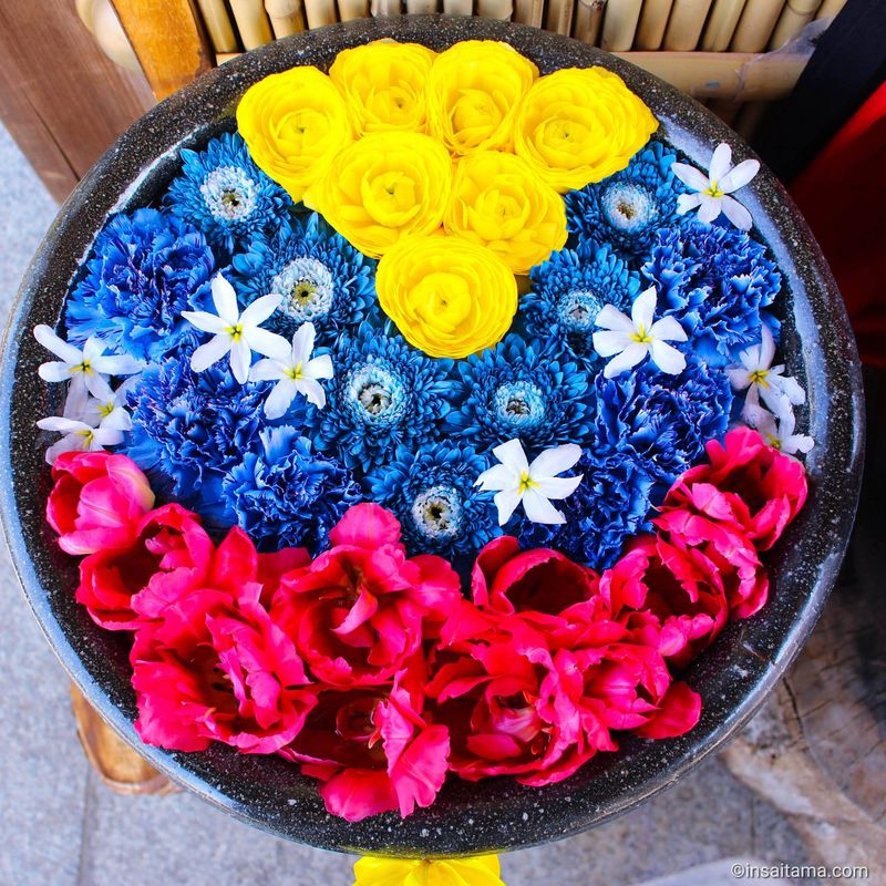 Guess the Anime from the Flowers photo