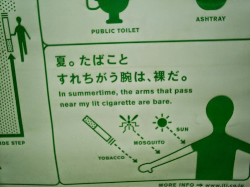 A Trifecta of Summer Hazards for Bare Arms in Japan photo