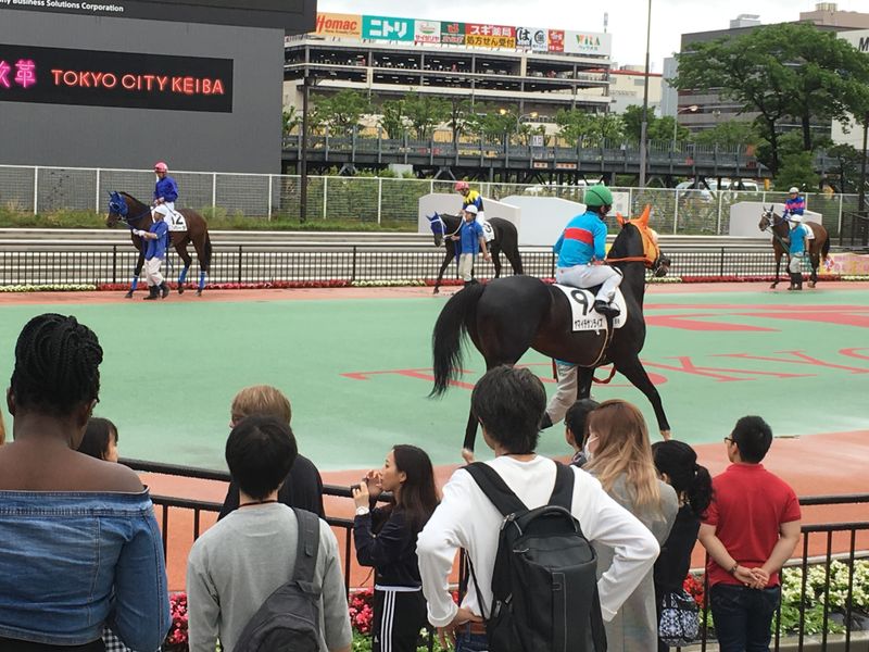 How to get to Tokyo City Keiba Horseracing Track photo
