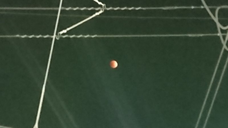 Total Eclipse of the Super Blue Blood Moon photo