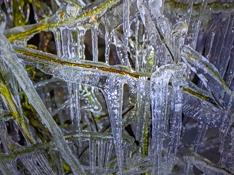 East wind melts the ice photo