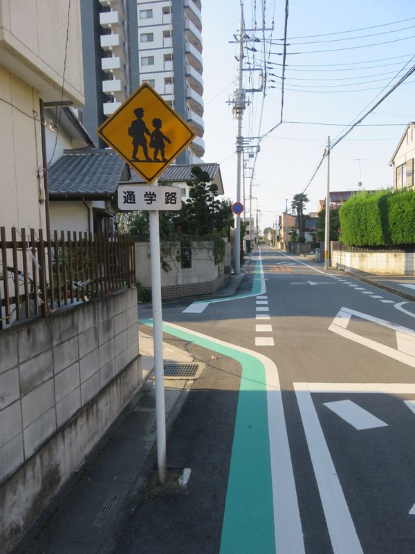 Biking in Japanland photo