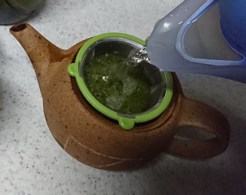How to Make Green Tea (According to the Internet) photo