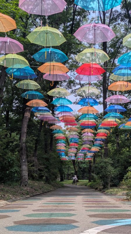An umbrella sky on umbrella day photo