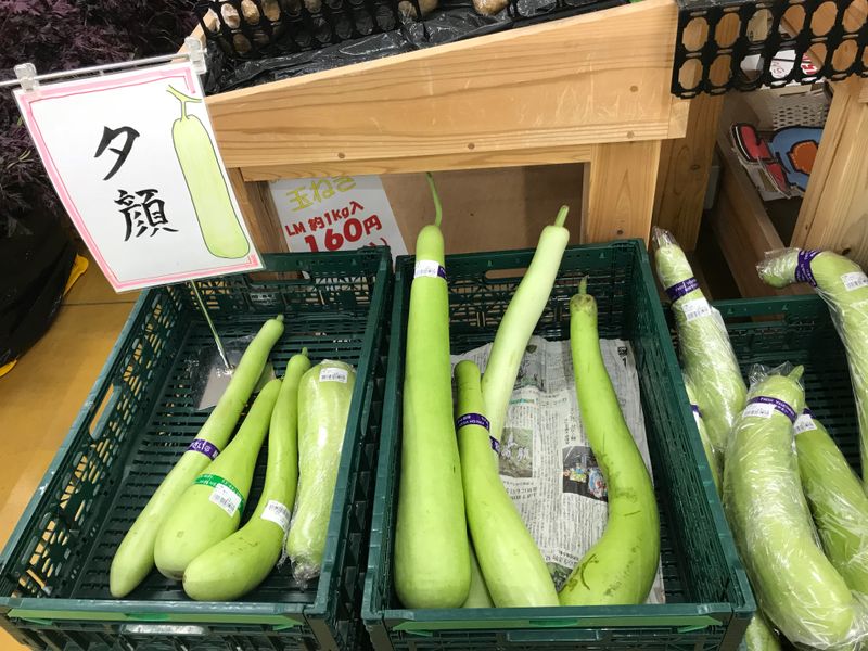 Unique plants and veggies in Japan photo