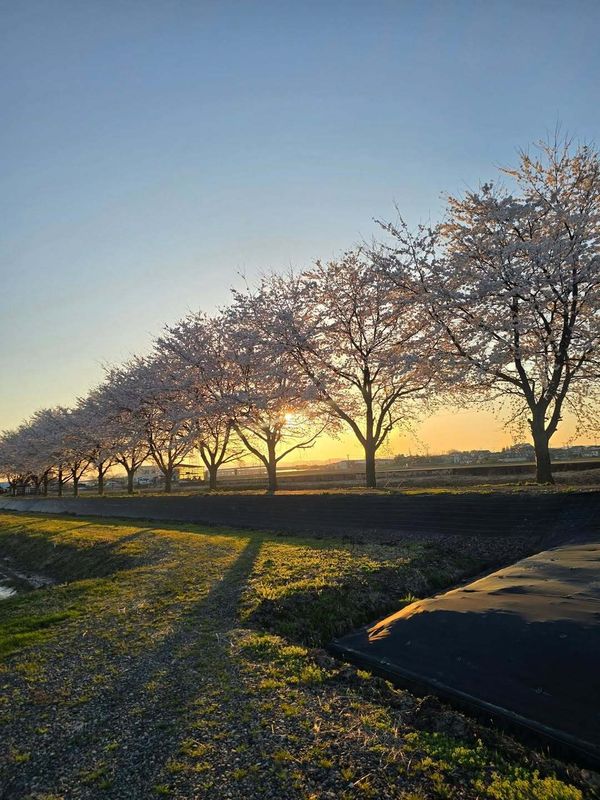 Remote work in Japan isn't always as fun as you'd think photo