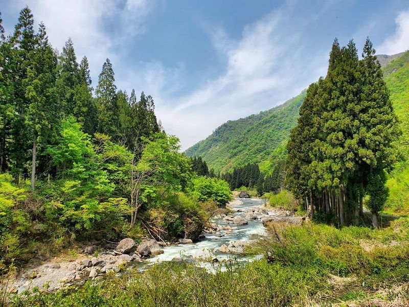 50种绿色阴影：新泻的夏日乐趣 photo