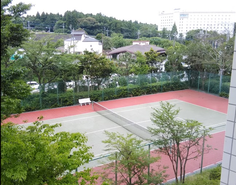 Tennis Day: A Sports Commemoration on September 23rd photo