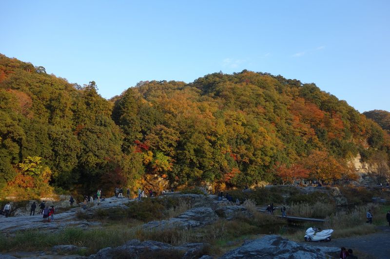 Melhores lugares para ver as folhas de outono ao redor de Tóquio, quanto custa para chegar a... photo