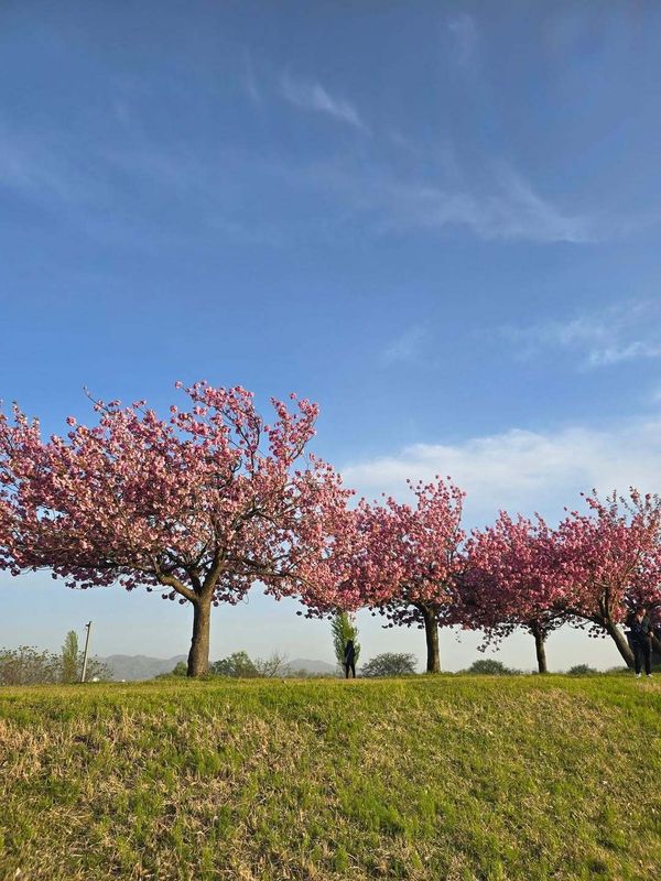 Some Golden Week trends for 2026 photo