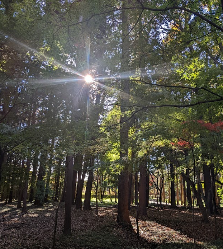 Take a deep breathe on breathing day photo